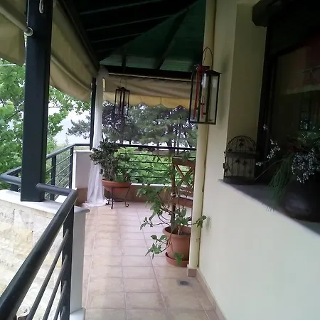 Apartment Vicente House *