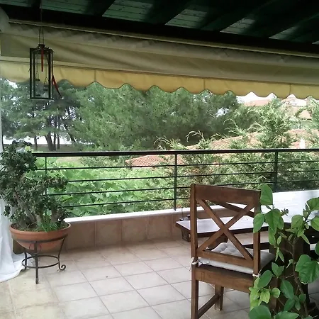 Apartment Vicente House
