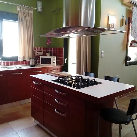Apartment Vicente House *